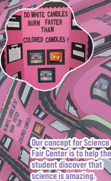 8th science project