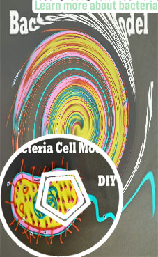 Bacteria science project ideas