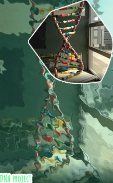 Dna model project ideas