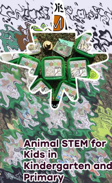 Stem bin ideas for kindergarten