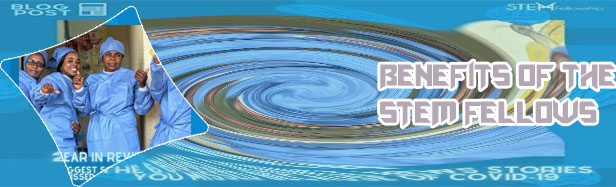 Stem fellowship