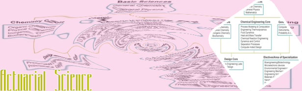 Undergraduate actuarial science degree