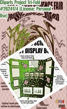 Water filter science fair project board