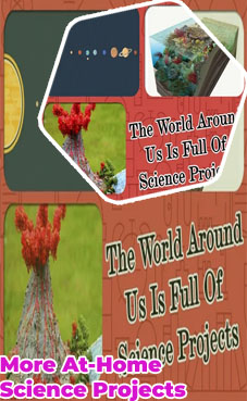 What are good science fair projects for 5th graders