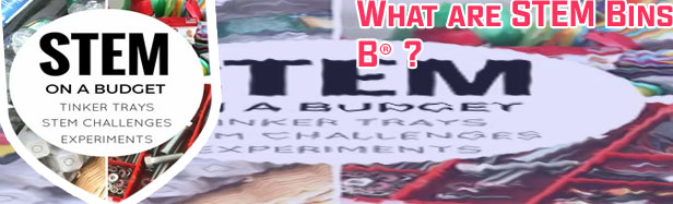 What are stem bins